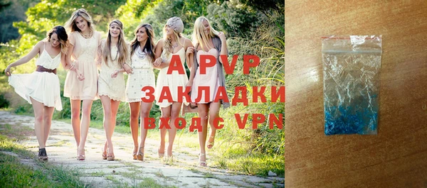 СК Зерноград