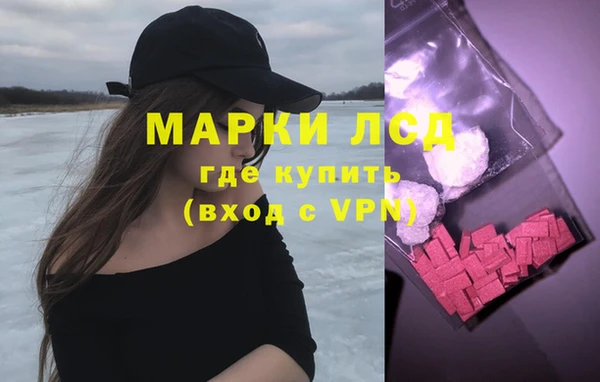 СК Зерноград