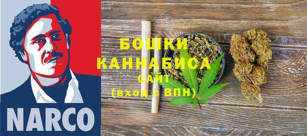 СК Зерноград