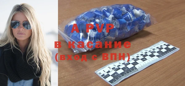 СК Зерноград