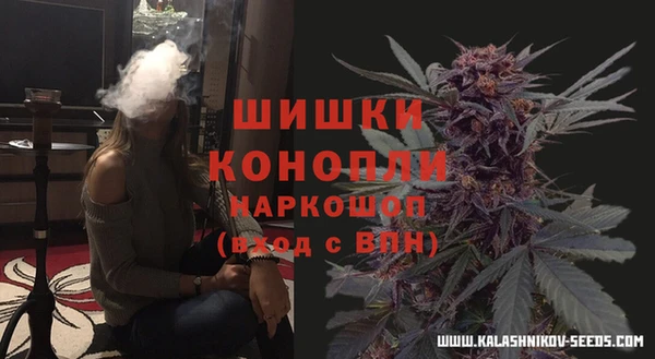 СК Зерноград
