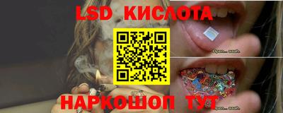 сатива Заводоуковск