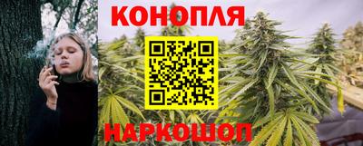 сатива Заводоуковск