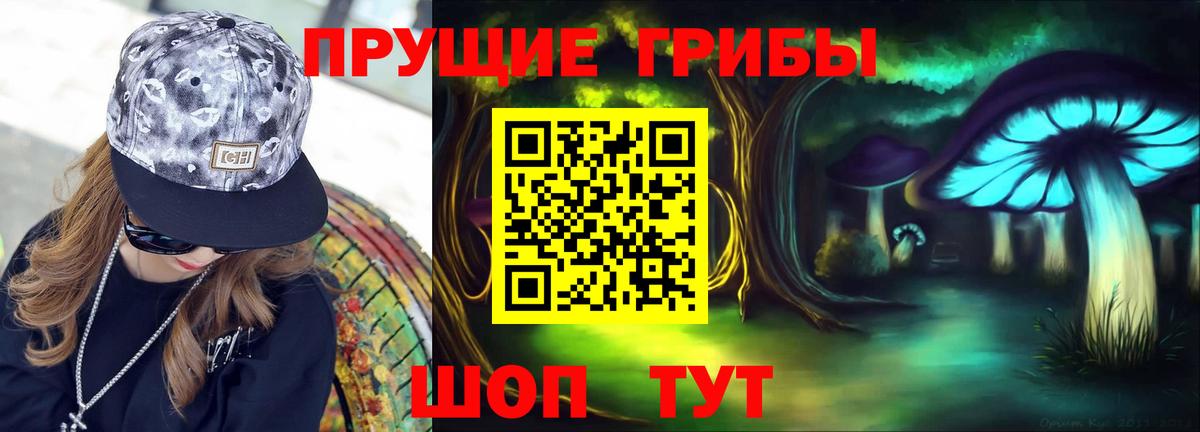 Мыски  Псилоцибиновые грибы Psilocybine cubensis  Вход с VPN 
