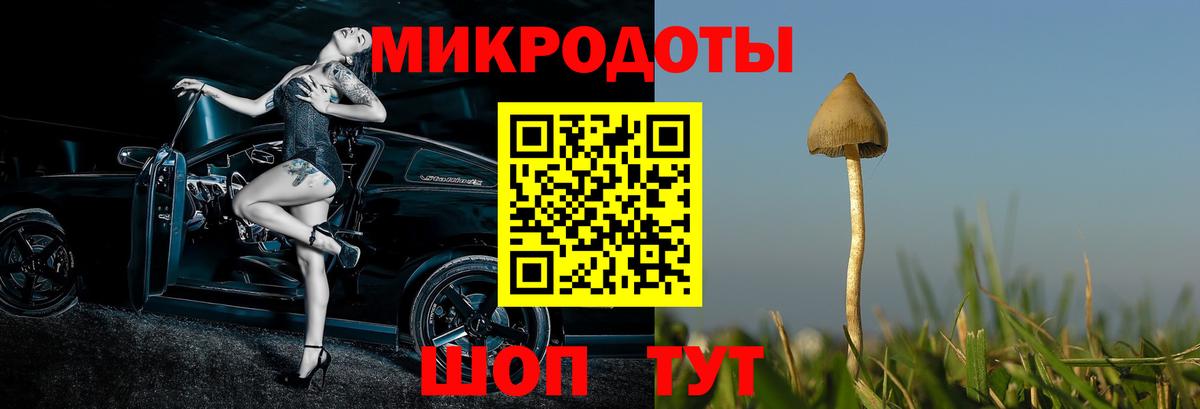 Псилоцибиновые грибы ЛСД Мыски
